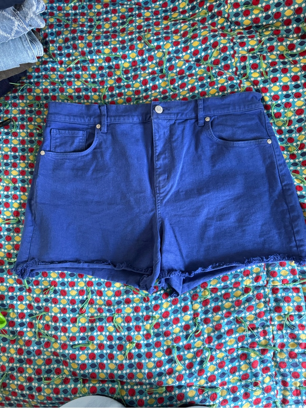 Women’s LOFT “the cut off short” High-Rise Royal Blue Denim Shorts size 14